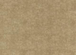 Фото - Ткани Clarke&Clarke Dawson - 530145>