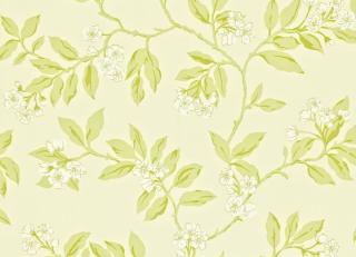 Фото - Обои Sanderson Maycott - 188069>