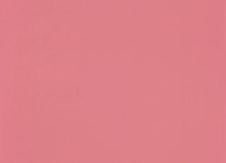 Фото - Обои Casadeco Rose & Nino - 557669>