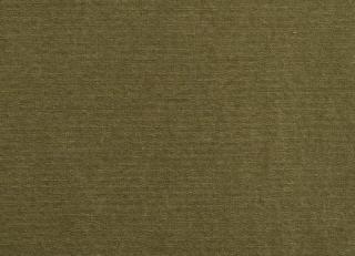 Фото - Ткани Antoine d'Albiousse Toile de Cocher - 480277>