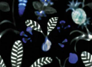 Фото - Обои Nobilis Cosmopolitan 2 - 357792>