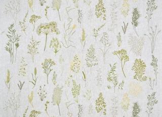 Фото - Ткани Pierre Frey Jardins Secrets Fabrics - 617493>