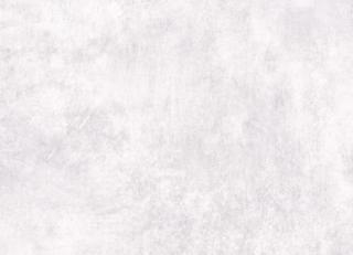 Фото - Обои Jannelli & Volpi Leonardo - 440223>