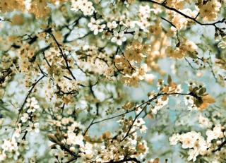 Фото - Обои Jean Paul Gaultier Voyages Voyages Papiers - 381190>