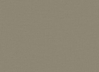 Фото - Ткани Hodsoll McKenzie Palladium - 619994>