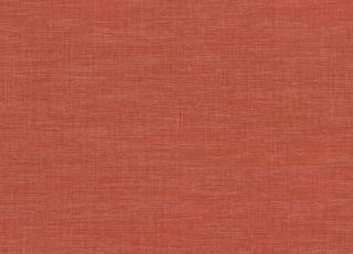 Фото - Коралловые флизелиновые обои на стену - 375879>