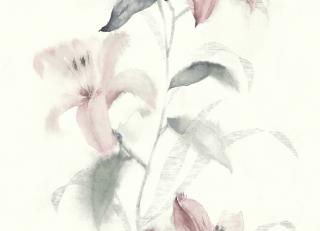 Фото - Обои Wallquest Jasmine - 245549>