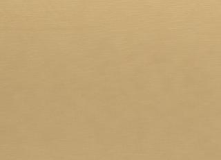 Фото - Ткани Clarke&Clarke Java - 403675>