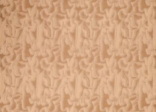 Фото - Ткани Kirkby design Graphic Nature - 606792>