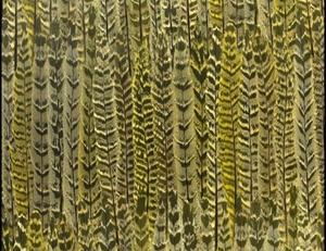 Фото - Обои Nobilis Place Dauphine - 358219>