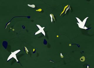 Фото - Обои Nobilis Grand Angle - 467281>