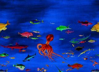 Фото - Обои Nobilis Grand Angle - 467290>