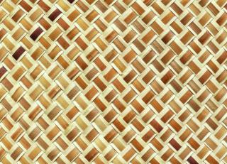 Фото - Ткани CMO Paris Palm Tree - 551133>