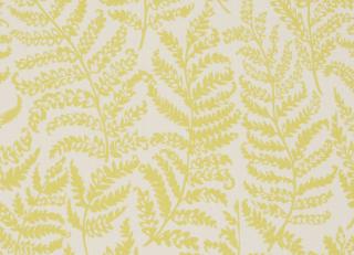 Фото - Ткани Clarke&Clarke Fougeres - 403291>