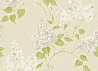 Фото - Обои Sanderson Maycott - 188063>