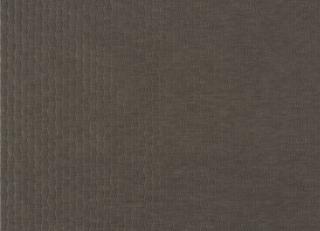 Фото - Ткани Zinc Scandal - 275009>