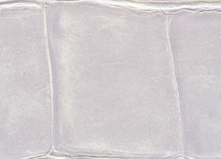 Фото - Обои Elitis Anguille - 257742>