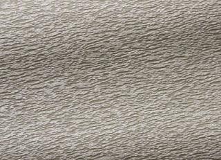 Фото - Ткани Fadini Borghi - 303250>