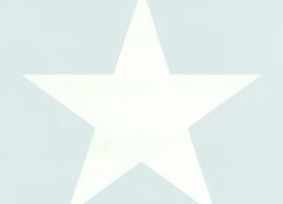 Фото - Обои Esta Home Regatta Crew - 340223>