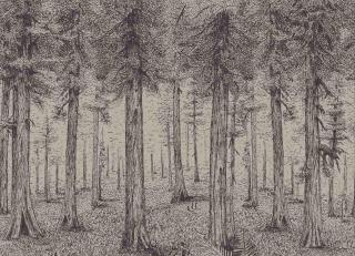 Фото - Обои Pierre Frey The Cult of Beauty - 537689>