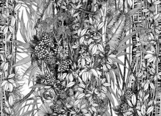 Фото - Обои Pierre Frey Jungle - 312163>