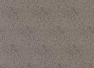 Фото - Ткани Osborne & Little Waldorf - 325253>