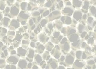 Фото - Обои Ronald Redding Traveler - 547952>