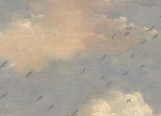 Фото - Обои Mayflower by Kt Exclusive Transition - 436548>