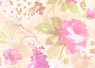 Фото - Обои Seabrook Ainsley - 215783>