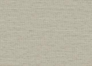 Фото - Обои Faboie Monkey World - 621033>