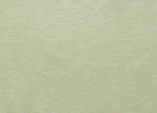 Фото - Ткани Clarke&Clarke Prima - 404438>