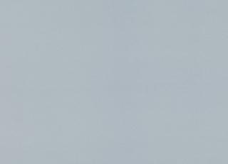 Фото - Ткани Kirkby design Ice Cotton Velvet - 331460>