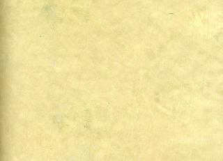 Фото - Обои Arlin Gondwana - 341720>