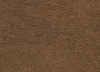 Фото - Обои Elitis Indomptee - 377182>