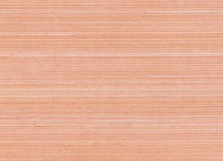 Фото - Обои Elitis Coiba - 398440>