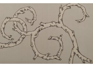 Фото - Обои Fromental Roger Thomas - 319239>