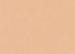 Фото - Обои Casamance La Chaux - 594841>