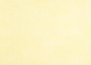 Фото - Обои Caselio Delicate - 226928>