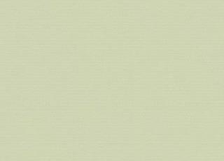 Фото - Обои Casadeco Botanica - 535602>