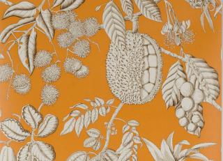 Фото - Обои для стен Manuel Canovas - 515624>