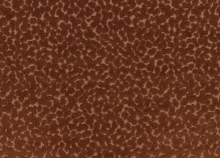 Фото - Ткани Kirkby design Graphic Nature - 606805>