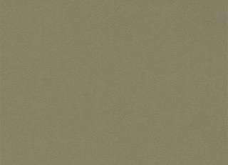 Фото - Ткани Sanderson Dorton Velvets - 462510>