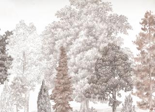 Фото - Обои Loymina Пейзаж 2 - 609817>