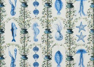 Фото - Ткани Pierre Frey Maoming - 323952>