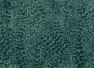 Фото - Ткани Nina Campbell Cathay Weaves - 260666>