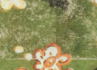 Фото - Обои Elitis Soleil levant - 469513>