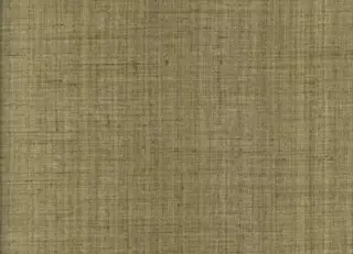 Фото - Ткани Casamance La route de la soie - 629588>