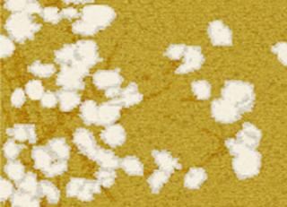 Фото - Обои Elitis Glass - 258267>