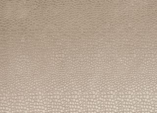 Фото - Ткани Clarke&Clarke Tempo Velvets - 297067>