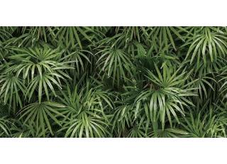 Фото - Обои Shinhan Natural  - 554967>